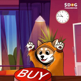 Dogofbitcoin giphyupload dog runestone dog bitcoin GIF