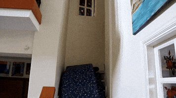 Downstairs GIF