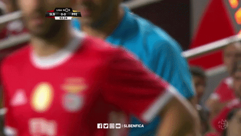Sl Benfica Nod GIF by Sport Lisboa e Benfica