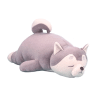 cat no Sticker by Miniso