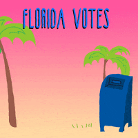 Voting 2020 Election GIF by INTO ACTION