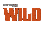 Wild Horse Nine Sticker by Searchlight Pictures