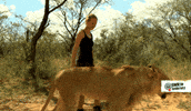 walking lion GIF by SWR Kindernetz