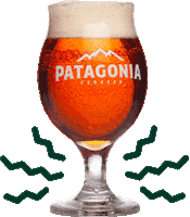 goosesaopaulo beer cerveza cerveja patagonia Sticker
