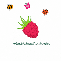 GoodNaturedBerries healthy fruit butterfly bee GIF