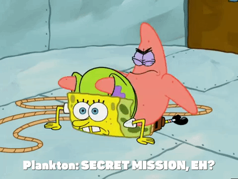 season 5 GIF by SpongeBob SquarePants