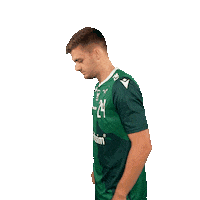 Handball Thumbs Up Sticker by Rimparer Wölfe