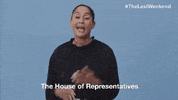 midterm elections vote GIF by Swing Left
