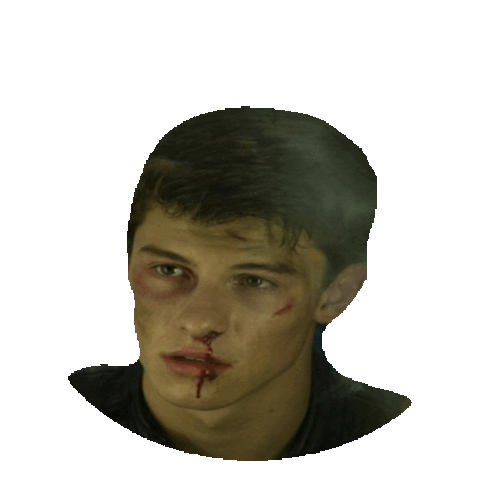 Shawn Mendes Sticker by imoji