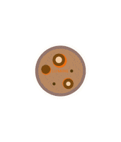 Sticker by Lumine Coffee