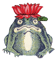 Tsungel frog tsungel Sticker