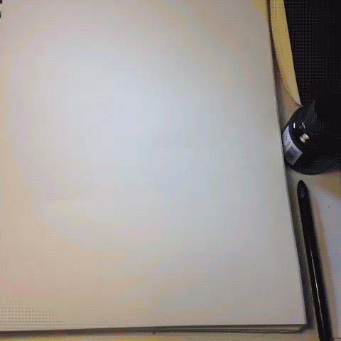 everything know GIF