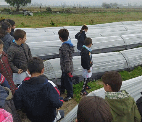 gretelbeatriz giphygifmaker GIF