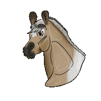 Horse Sticker