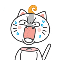 Surprised Cat GIF by KIKI