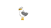 North Sea Seagull Sticker by buesum_urlaub