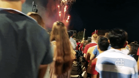 fireworks orientation GIF