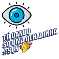 somosnoc cdlpoa liquidaportoalegre liquidapoa Sticker