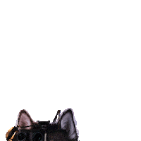 Noesenlineaesenlinio Sticker by Linio Chile