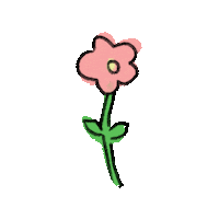 Pink Flower Sticker