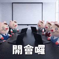 豬 GIF