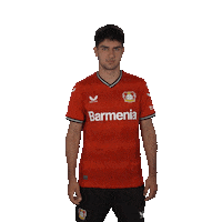 Football Wondering Sticker by Bayer 04 Leverkusen