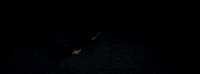 God Whispered Your Name GIF by Keith Urban