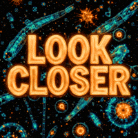 Discovery Zoom In GIF
