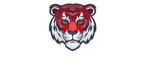 Tiger Kickboxing Sticker by HungarianWorldCup