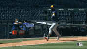 Look At My Dab Sport GIF by Milwaukee Brewers