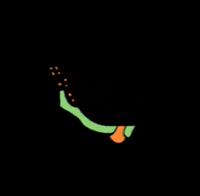 H13NrV artsy monika h13nrv 2012beach GIF