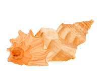 San Salvador Caribbean Sticker by visitthebahamas