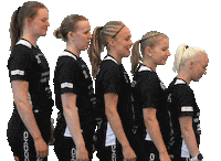 Floorball Salibandy Sticker by F-liiga