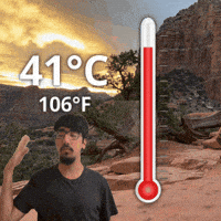 Forty One Degrees GIF