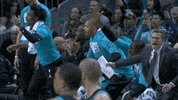 happy lets go GIF by NBA
