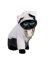 muaddibthecat reaction chill persian persiancat Sticker