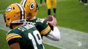 Happy Regular Season GIF by NFL