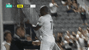 Happy Soccer GIF by USL