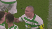 Celtic Fc Yas GIF by Celtic Football Club