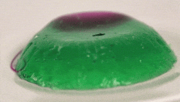 jello meets GIF