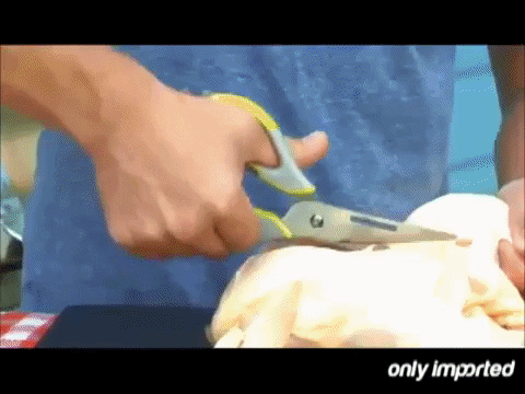 gabriellimaa8db giphygifmaker GIF