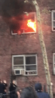 Cat Jumps Toward Rescuers' Arms From Flaming Second-Story Window in Harlem