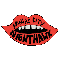 nighthawkkc bar kc kansascity nighthawk Sticker