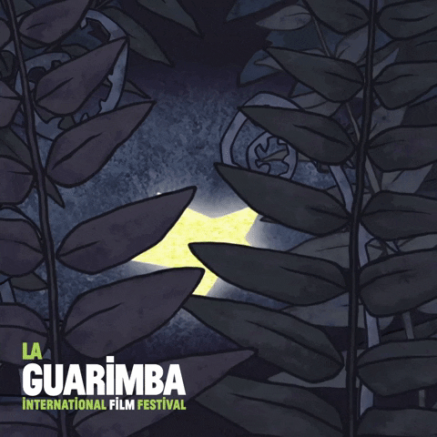 Discover In The Butt GIF by La Guarimba Film Festival