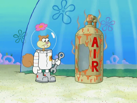 season 8 bubble troubles GIF by SpongeBob SquarePants
