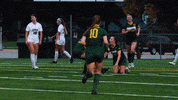 Goal Celebration Hanley GIF by NDSU Athletics