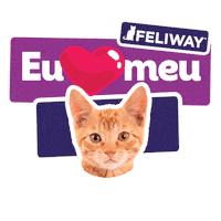 cevabrasil gato gatofeliz feliway gatosfelizes Sticker