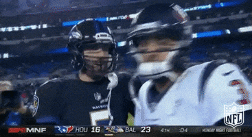 baltimore ravens football GIF by NFL