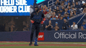 Happy Blue Jays GIF by Toronto Blue Jays