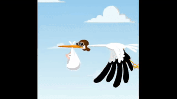 baby boy congrats GIF